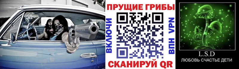 Псилоцибиновые грибы ЛСД  shop состав  Сертолово  продажа наркотиков 